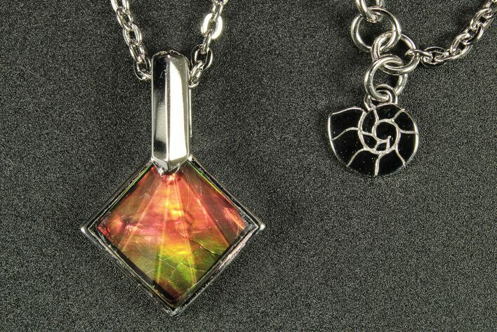 Stunning Ammolite (Fossil Ammonite Shell) Pendant - Sterling Silver #271760